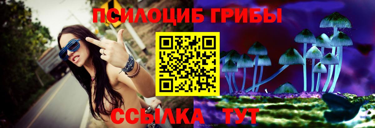 Псилоцибиновые грибы Psilocybine cubensis Назарово